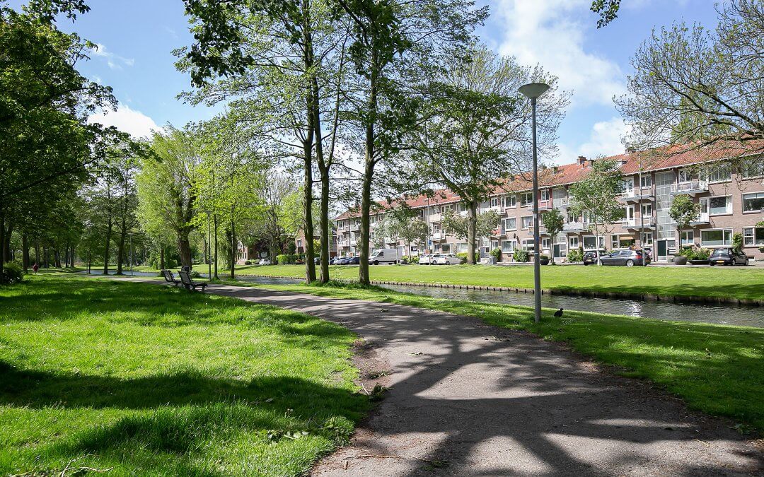 Lepelaarsingel, Rotterdam